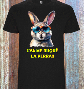 ¡¡YA ME RISQUÉ LA PERRA!!