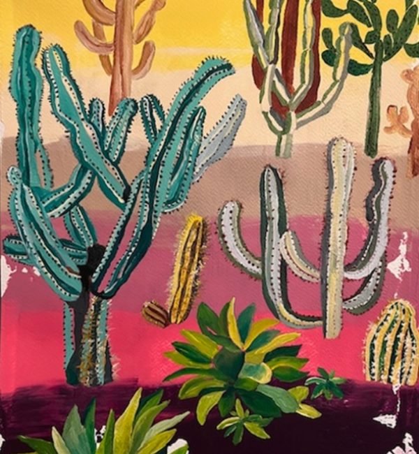 5 cactus