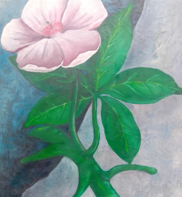 Azcuy - Flor de baobabs